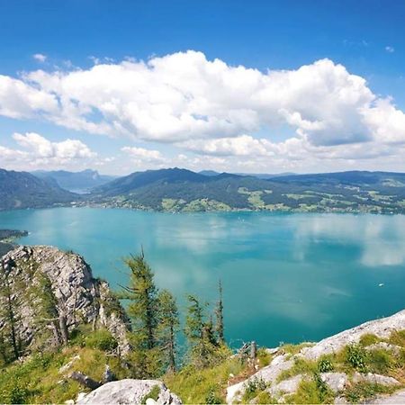 Fewo Atterseeperle - 80M2 Mit See- Und Gebirgsblick Щайнбах ам Атерзее Екстериор снимка