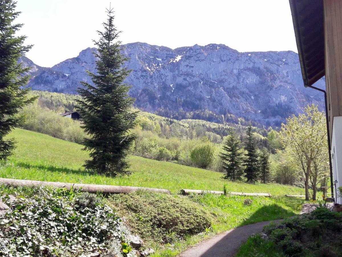 Fewo Atterseeperle - 80M2 Mit See- Und Gebirgsblick Щайнбах ам Атерзее Екстериор снимка